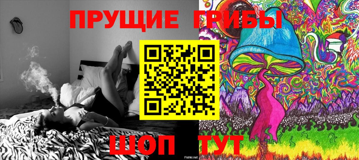 Надым  Галлюциногенные грибы Psilocybine cubensis  Вход с VPN  Галлюциногенные грибы GOLDEN TEACHER 