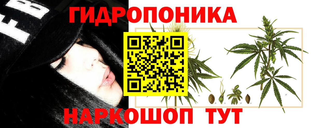 Конопля SATIVA & INDICA Надым