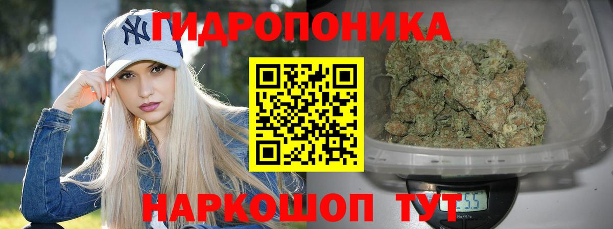 Бошки марихуана Bruce Banner  Канабис гибрид  Вход с VPN  Шишки марихуана White Widow  Надым  Бошки Шишки конопля 